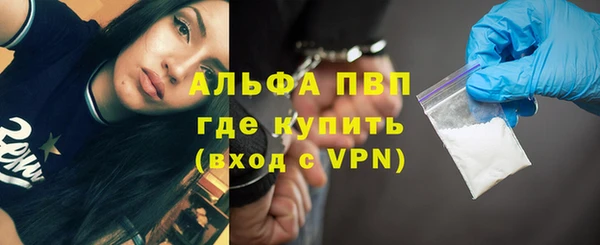 ГАЛЛЮЦИНОГЕННЫЕ ГРИБЫ Белоозёрский