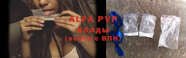 прущие грибы Белокуриха