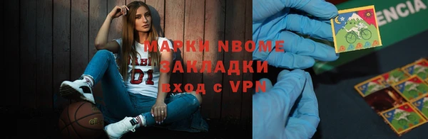 прущие грибы Белокуриха