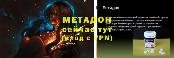 прущие грибы Белокуриха
