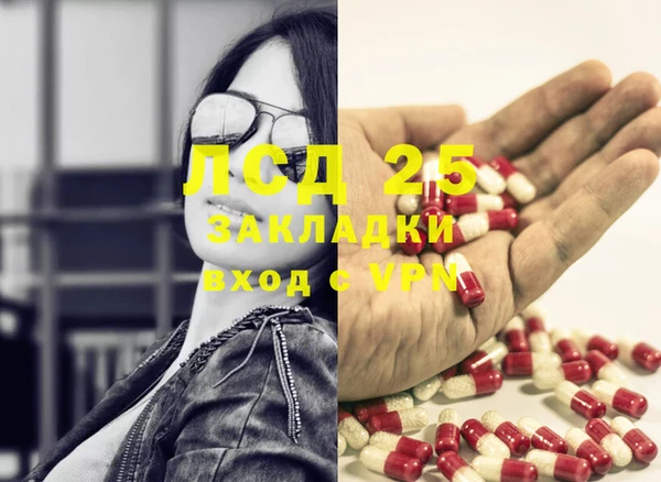 ГАЛЛЮЦИНОГЕННЫЕ ГРИБЫ Белоозёрский