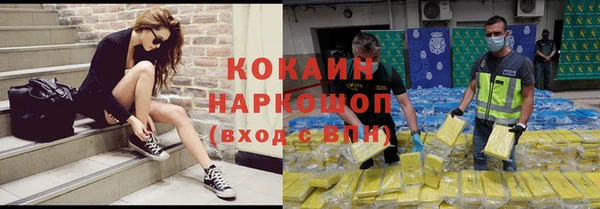 прущие грибы Белокуриха
