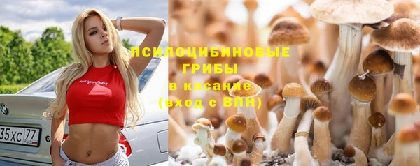 ГАЛЛЮЦИНОГЕННЫЕ ГРИБЫ Белоозёрский