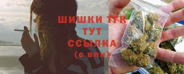 прущие грибы Белокуриха
